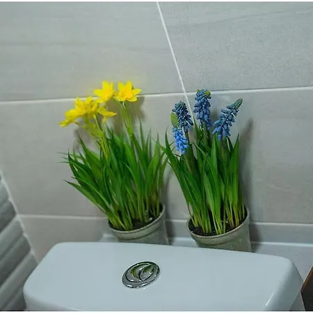 Chapel Place, Town Centre * Killarney