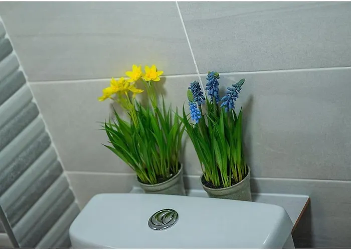 Chapel Place, Town Centre * Килларни